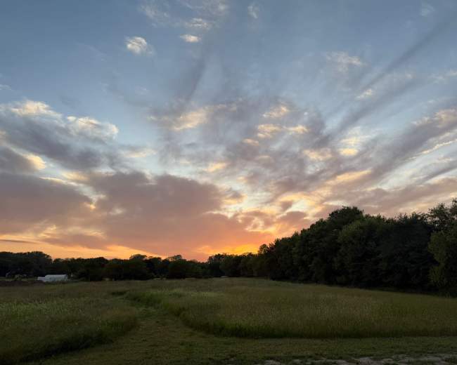 The image shows a sunset with orange and pink hues illuminating the sky, framed by trees and grassy fields.
