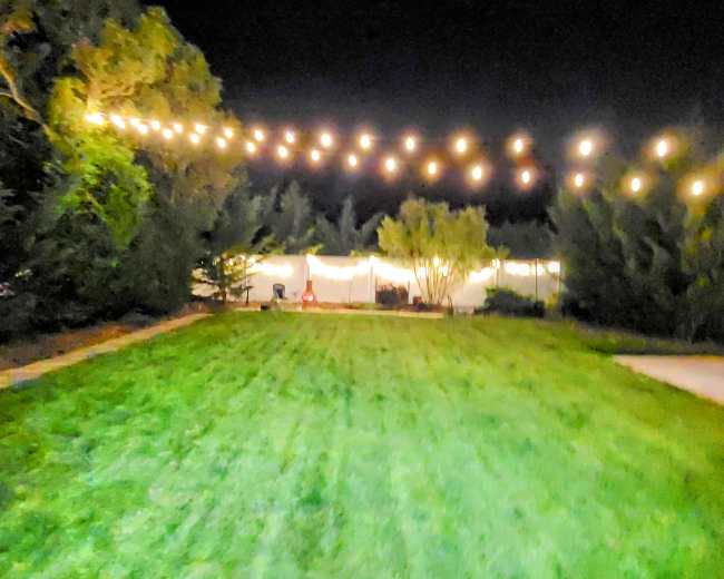 A well-lit outdoor area features string lights overhead, leading to a tent or gathering space surrounded by trees and a grassy lawn at night.