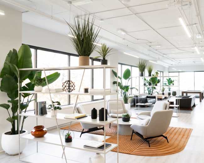 The image shows a modern office space featuring comfortable seating, decorative plants, and large windows with natural light.