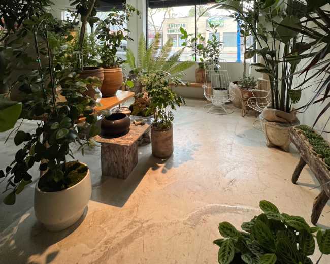 A bright indoor space filled with various potted plants and decorative elements, featuring large windows that provide natural light.
