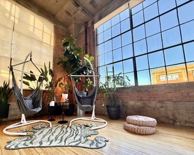 The image shows a modern interior with two hanging chairs, a large window allowing natural light, potted plants, and a tiger-patterned rug on the wooden floor.