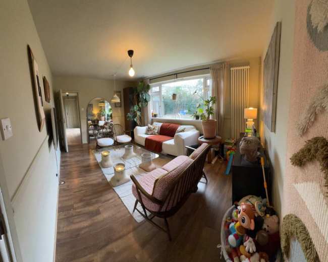 The image shows a living room with a white sofa, a wooden coffee table, and a variety of plants, toys, and decor items.
