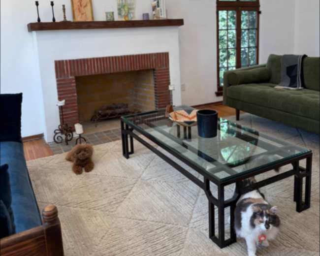 The image shows a living room featuring a fireplace with a brick surround, a glass coffee table, a green sofa, and a small dog on a woven rug.