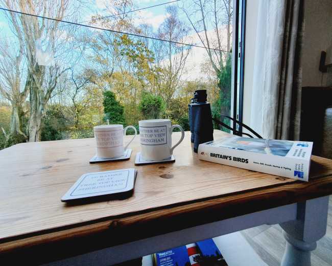 Two mugs sit on a wooden table beside a birdwatching book and binoculars, with a view of trees outside the window.