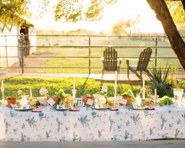 A long table adorned with small potted plants and candles is set up in an open area with a fence and chairs in the background.