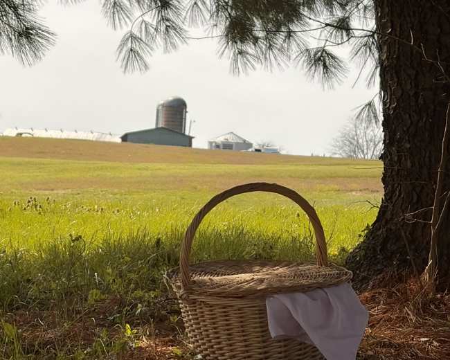 A wicker basket rests on the ground beneath a tree, with a notebook and a white cloth beside it, while a distant barn and silos are visible in the background across a grassy field.