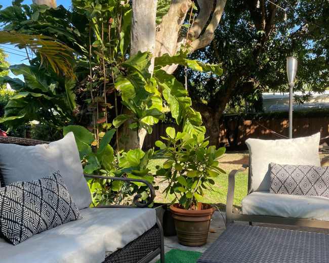 A cozy outdoor seating area features two armchairs and a coffee table surrounded by greenery and sunlight.