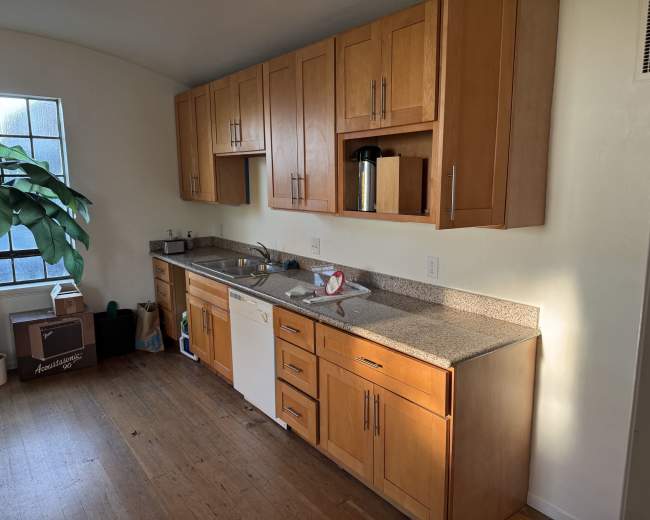 The image shows a kitchen with wooden cabinetry, a granite countertop, a sink, and a dishwasher, along with a potted plant and several bags on the floor.