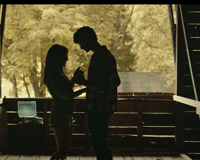 A couple stands in silhouette inside a wooden structure, holding hands against a backdrop of bright trees.