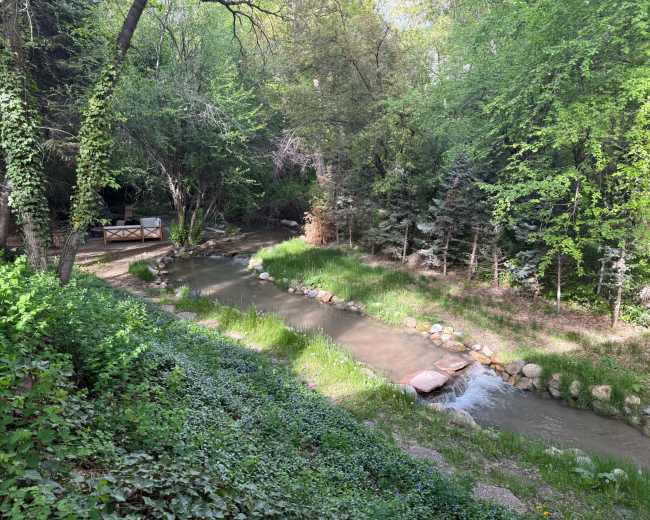 A stream flows through a lush, green forest, with a wooden platform visible alongside the water.