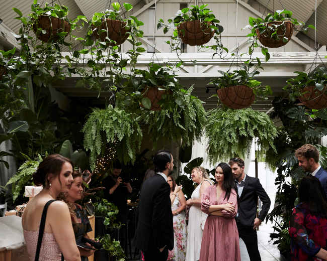 A group of people socialize in a lush, plant-filled indoor space decorated with hanging baskets of greenery.