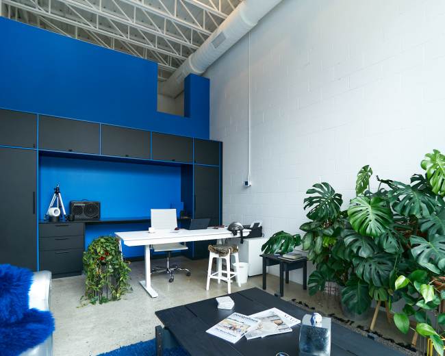 The image shows a modern office space featuring a blue accent wall, a white desk with a computer, plants, and a black storage unit.