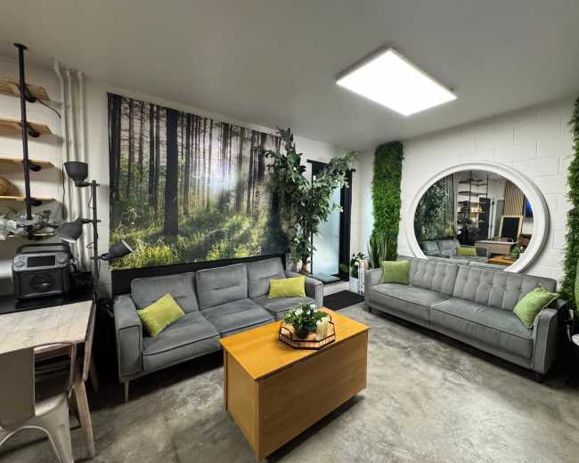 The image shows a modern lounge area with two gray sofas, a wooden coffee table, green cushions, and a nature-themed wall mural, surrounded by potted plants.