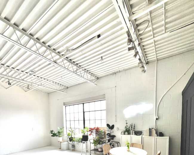 A spacious, minimally decorated room features a round table with four chairs surrounded by various potted plants near a large window.