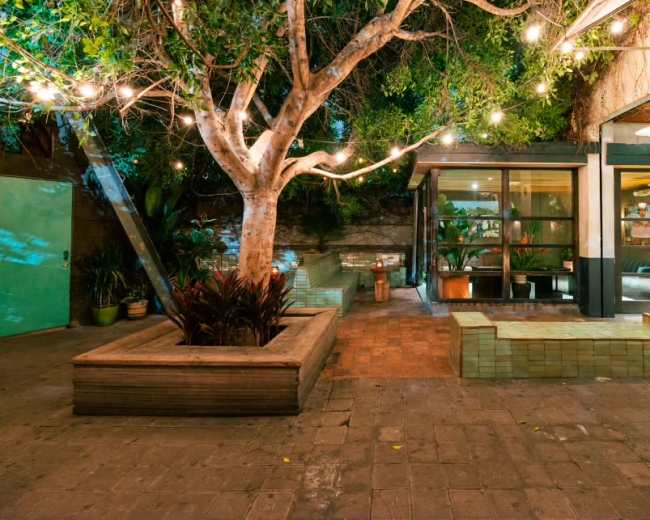 The scene features a courtyard with a large tree, string lights overhead, and a glass structure surrounded by green plants and tiled seating areas.