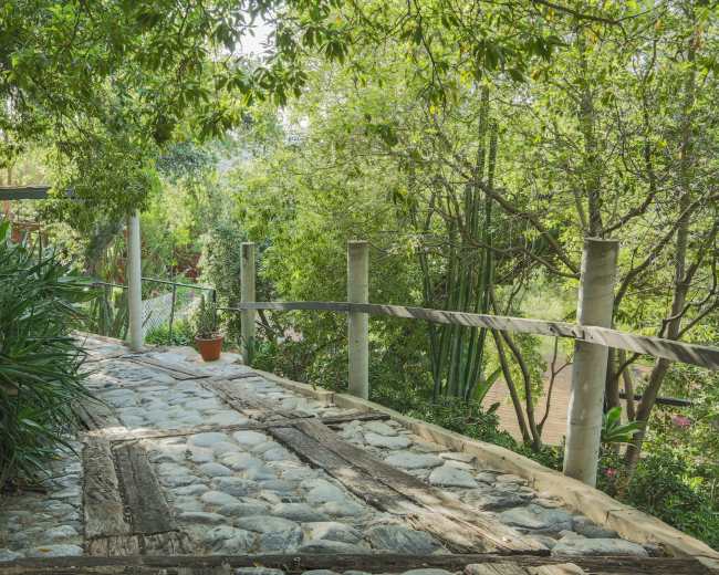 A stone pathway with wooden accents is surrounded by lush greenery and trees.