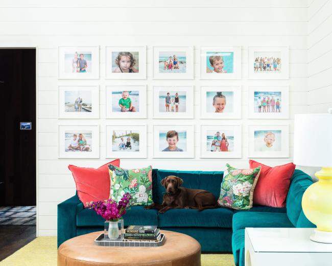 A chocolate lab lies on a teal couch adorned with colorful pillows, while a gallery wall of framed photos hangs above, showcasing various children's portraits.