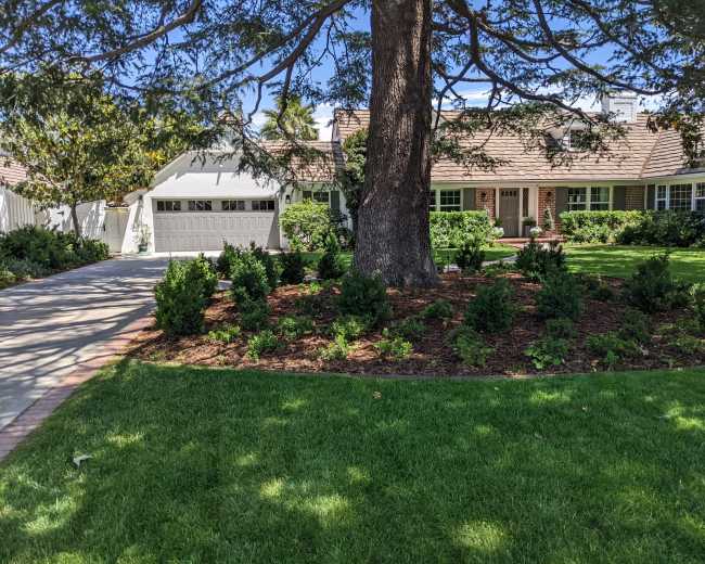 The image shows a well-maintained house with a landscaped yard featuring a large tree and neatly arranged shrubs.