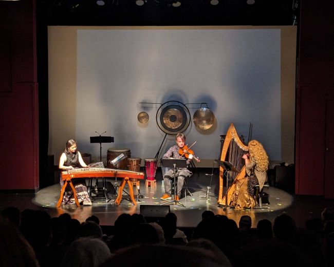 A trio of musicians performs on stage with a variety of instruments, including a hammered dulcimer, violin, and harp, in a dimly lit venue.