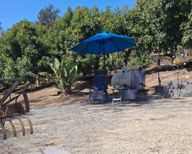 The image shows a shaded seating area under a blue umbrella with chairs, set on a gravel path near fruit trees.