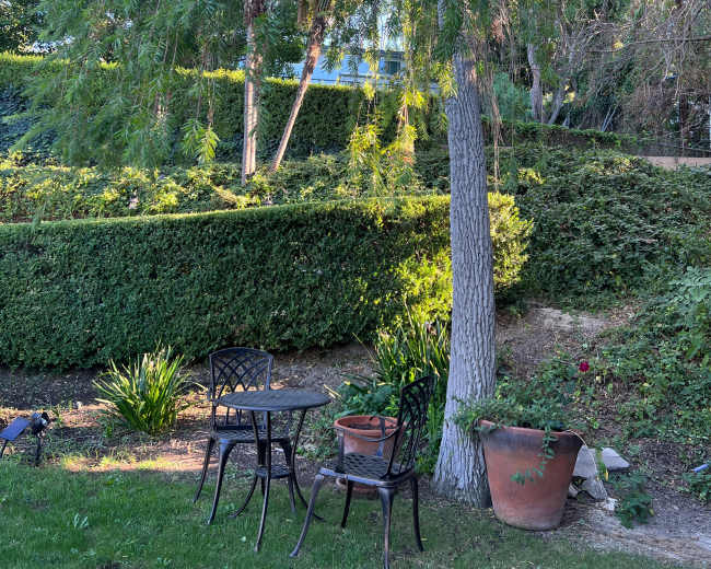 A small metal table and two chairs sit beneath a large tree in a landscaped garden with bushes and a potted plant.