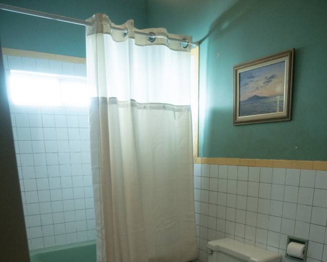 The image shows a bathroom featuring a bathtub with a shower curtain, a toilet, and a small rug on the floor.