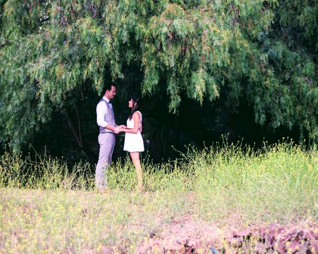 A couple stands holding hands in a grassy area beneath a large tree.