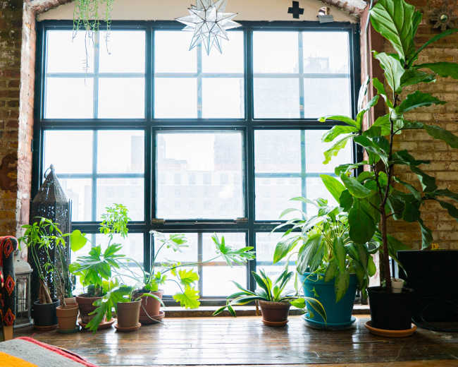 peerspace