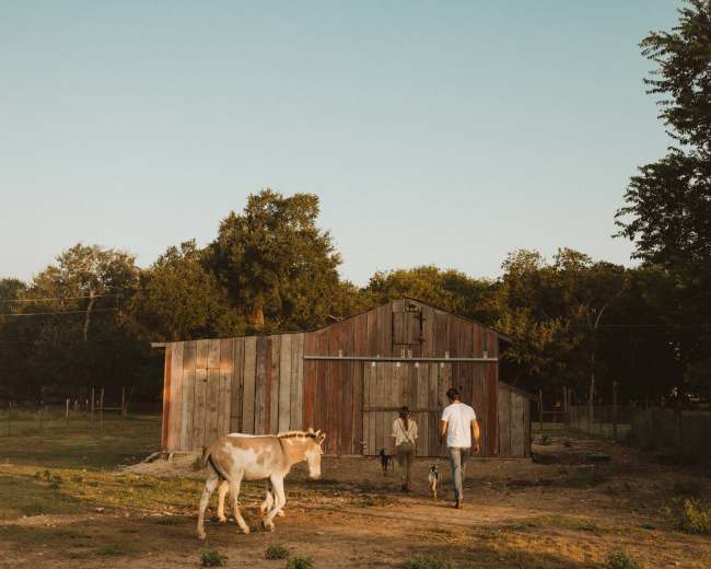 A person and a child walk towards a rustic barn while a dog and a horse are in the foreground.