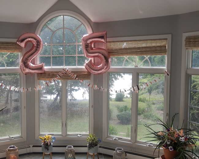 The image shows a sunlit bay window decorated with pink balloons shaped like the numbers "25" and a banner, overlooking a garden view with potted plants on the sill.