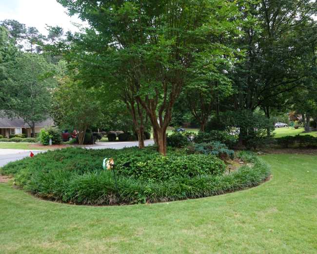 A landscaped area with circular greenery and trees, set against a neighborhood street.