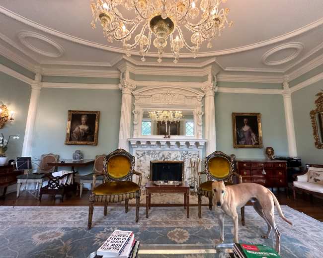 The image shows an elegant living room featuring a chandelier, ornate fireplace, two antique chairs, and a greyhound standing on a decorative rug.
