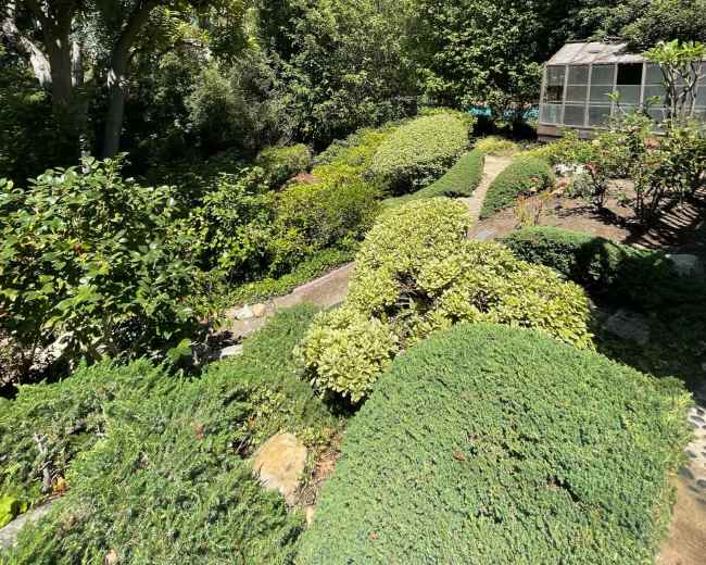 The image depicts a lush garden with neatly trimmed bushes and a winding pathway, surrounded by tall trees under a clear blue sky.