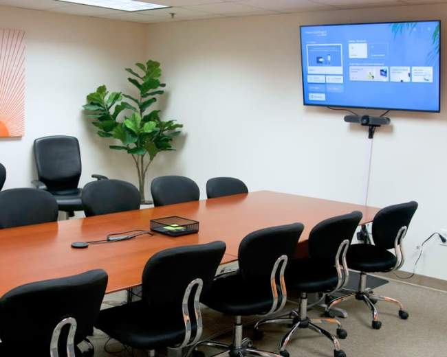 The image shows a conference room with a large wooden table, ergonomic chairs, a flat-screen TV mounted on the wall, and a decorative plant in the corner.