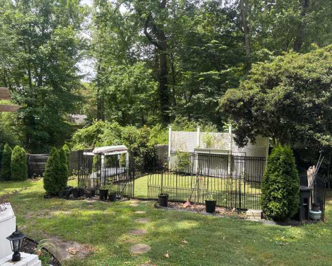 The image shows a fenced backyard with a grassy area, surrounded by trees and shrubs, featuring a gazebo and various potted plants.