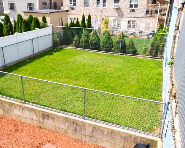The image shows a fenced grassy yard with a concrete base and a view of neighboring buildings in the background.