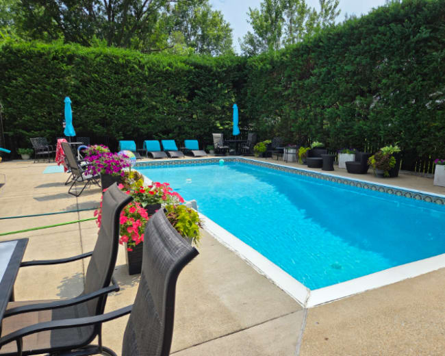 A clear swimming pool is surrounded by lounge chairs and vibrant flower pots under a sunny sky.