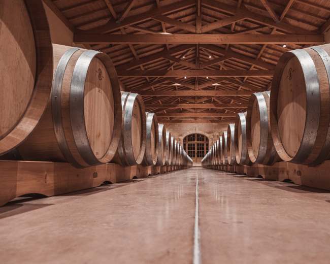 The image shows a row of wooden wine barrels neatly lined up in a spacious, well-lit wine cellar.