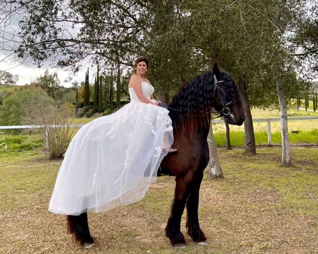 A woman in a wedding dress is seated on a black horse in a grassy area surrounded by trees.