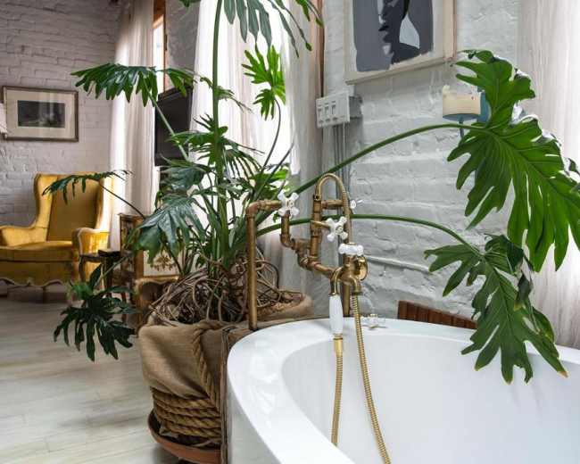A modern bathroom features a white bathtub surrounded by large leafy plants and a vintage yellow armchair in the background.