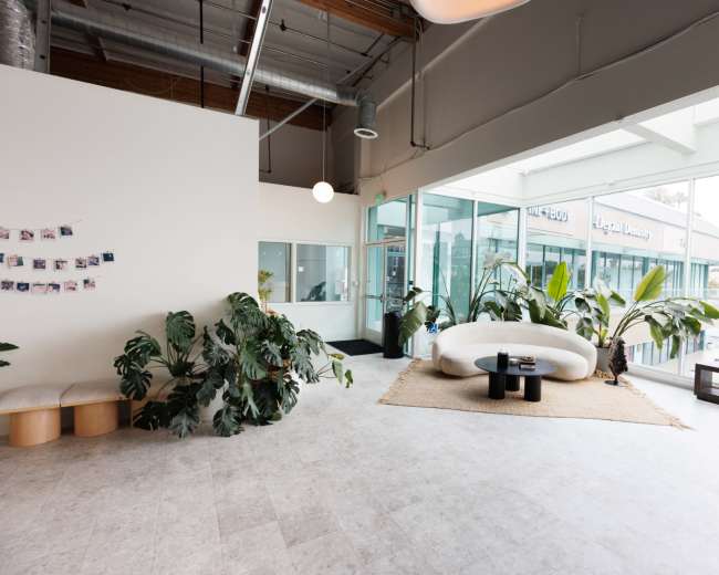 The image shows a modern open-concept office space featuring large windows, plants, and minimalist furniture, with a light and airy ambiance.