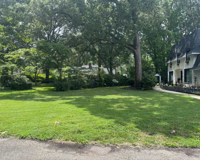 A large, grassy yard is bordered by trees and features a house with a dark roof on one side.