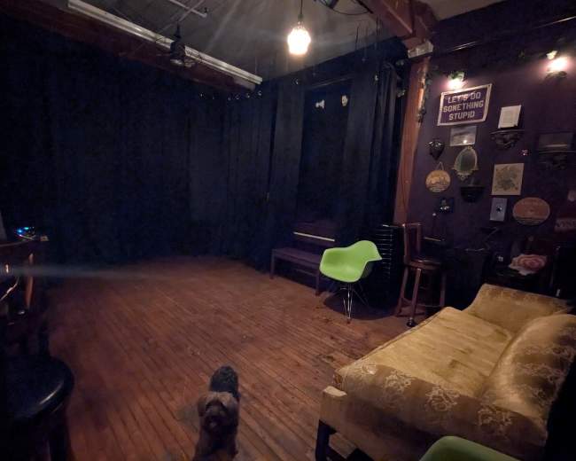 The image shows an empty performance space with dark curtains, wooden flooring, a green chair, and a small dog in the foreground.
