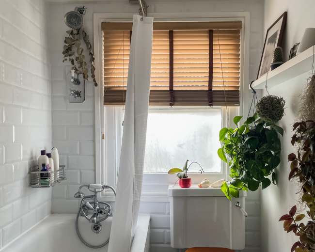 A bright bathroom features a bathtub, a toilet with a wooden seat, a window with blinds, and potted plants.
