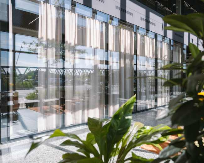 A modern interior features large glass windows adorned with sheer curtains, framed by indoor plants.