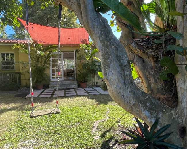 A wooden swing hangs from a large tree, facing a small yellow house surrounded by plants and a tiled patio.