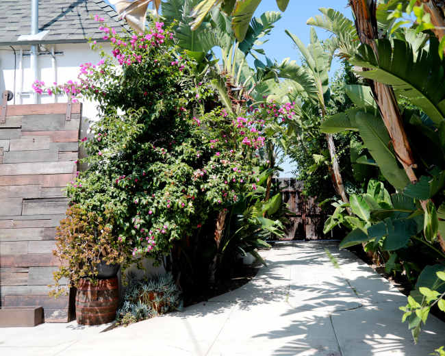 A narrow pathway lined with tropical plants and flowers leads to a wooden gate at the end.
