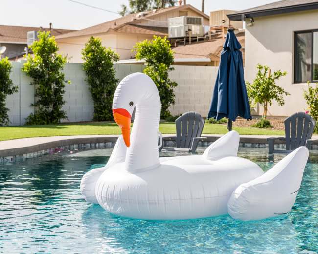 An inflatable swan floats on the surface of a swimming pool surrounded by a residential backyard.