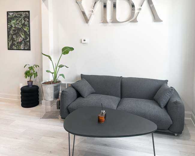 The image shows a modern, minimalist living space featuring a gray sofa, a black coffee table, and a plant in a metallic pot, with a wall displaying the word "VIDA."