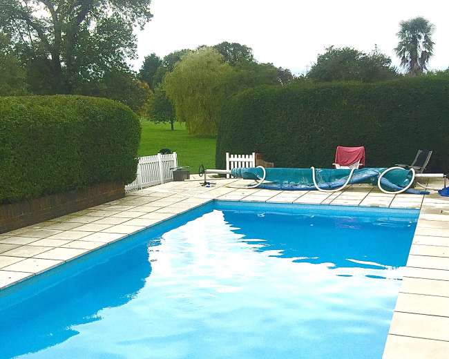 The image shows a rectangular swimming pool surrounded by a patio and hedge, with lounge chairs arranged nearby.